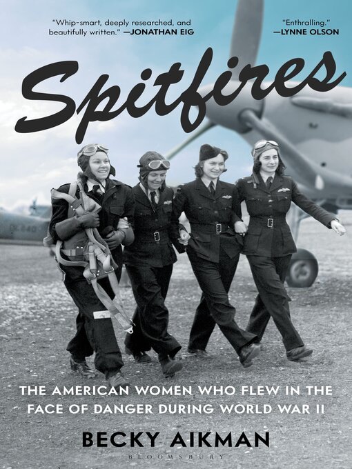 Cover image for Spitfires